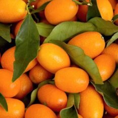 Kumquat Fruit |Buy Fresh Kumquats UK