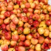 Buy Rainier Cherries UK |Premium Golden Cherries