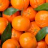 Mandarin Oranges | Buy Fresh Mandarins UK