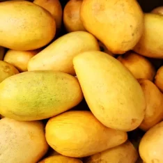 Ataulfo Mango Fruit Box |Buy Honey Mango UK