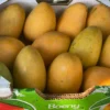Mingolo Mango |Buy Fresh Mangos UK