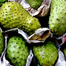 Golden Soursop |Buy Fresh Golden Guanábana UK