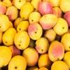 Haitian Mango |Buy Tropical Mango UK