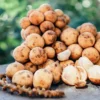 Lanzone Fruit (Langsat) |Buy Fresh Lanzones UK