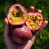 Buy Passionfruit UK |Fresh Exotic Fruit Delivery