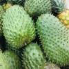 Fresh Soursop (Guanábana) |Buy Soursop UK Online