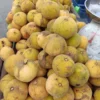 Santol Fruit Box |Buy Cotton Fruit in the UK