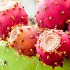 Buy Red Cactus Pear Fruit UK |Exotic Prickly Pears