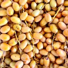 Yellow Barhi Dates |Fresh Barhi Dates UK Box