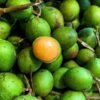 Buy Spanish Limes Fruit UK |Fresh Quenepa Mamoncillo