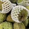 Atis Sugar Apple |Buy Fresh Sugar Apple Fruit UK