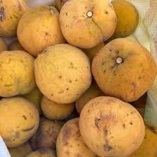 Buy Santol Fruit UK |Exotic Cotton Fruit Online