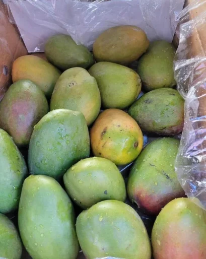 Julie Mango |Buy Fresh Julie Mango UK