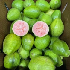 Buy Tropical Pink Guavas Fruit UK |Exotic Sweet Guava